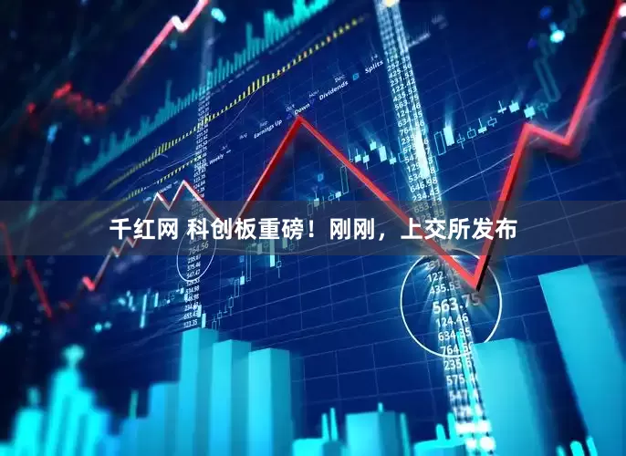 千红网 科创板重磅！刚刚，上交所发布