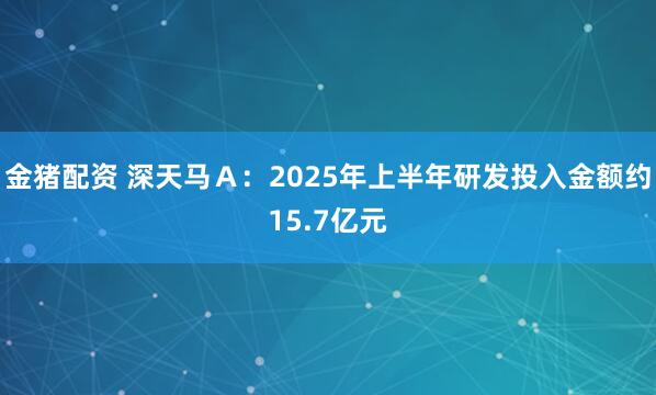 金猪配资 深天马Ａ：2025年上半年研发投入金额约15.7亿元