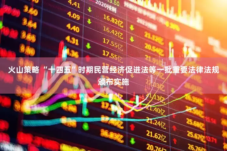 火山策略 “十四五”时期民营经济促进法等一批重要法律法规颁布实施